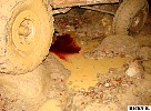 dsc02042.jpg